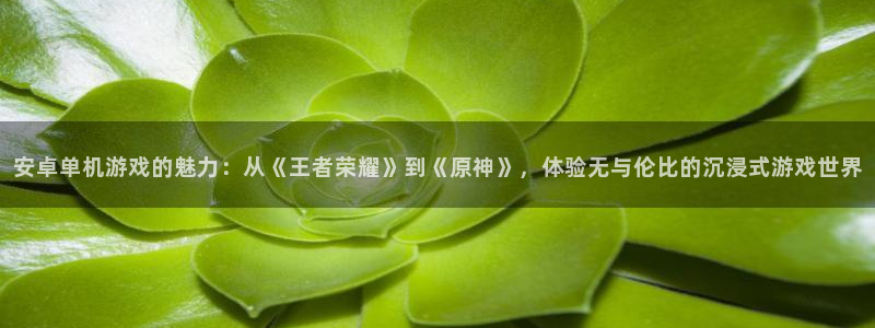 cn南宫软件