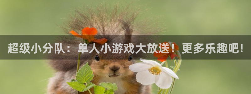 南宫官网注册：超级小分队：单人小游戏大放送！更多乐趣吧!