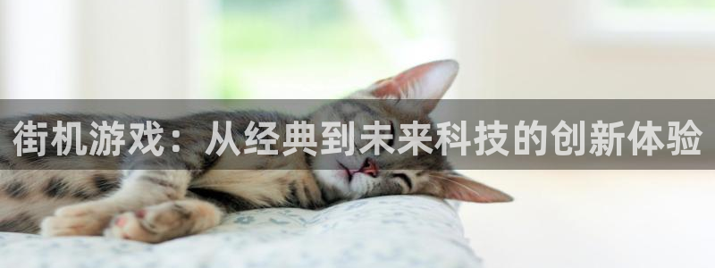 南宫是哪的：街机游戏：从经典到未来科技的创新体验