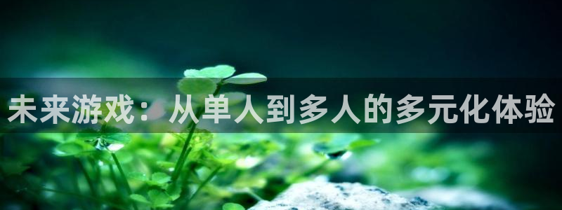 NG666南宫娱乐官网下载