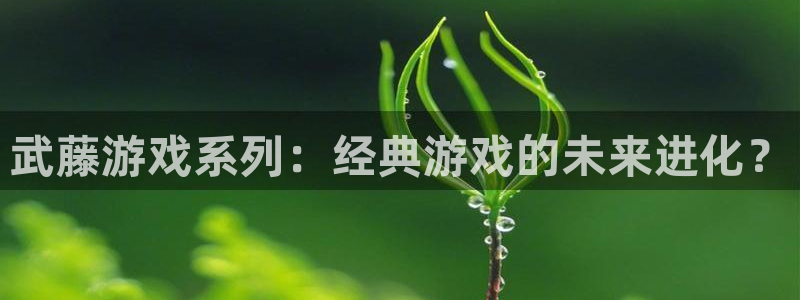 南宫集团是哪部电视剧：武藤游戏系列：经典游戏的未来进化？