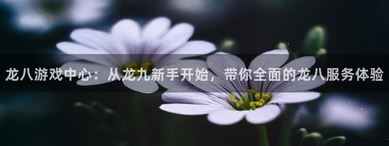 壹号娱乐现在优惠多少：龙八游戏中心：从龙九新手开始，带你全面的龙八服务体验