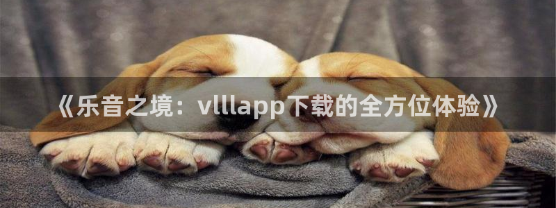 壹号娱乐2注册：《乐音之境：vlllapp下载的全方位体验》