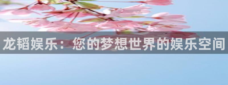 壹号娱乐体育免费注册入口：龙韬娱乐：您的梦想世界的娱乐空间