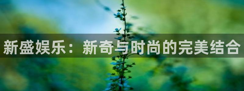 成都壹号娱乐电子有限公司：新盛娱乐：新奇与时尚的完美结合