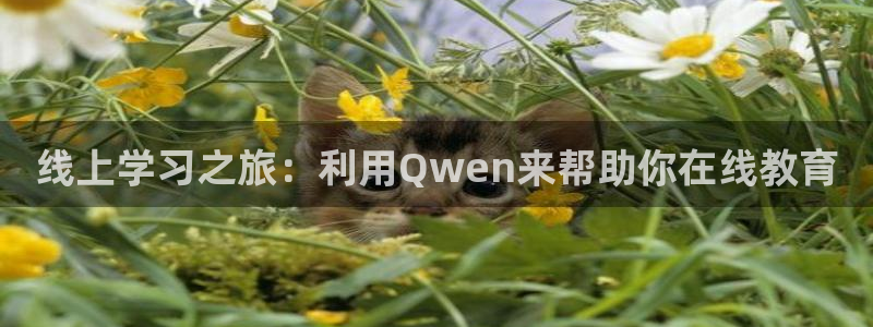 壹号娱乐k：线上学习之旅：利用Qwen来帮助你在线教育