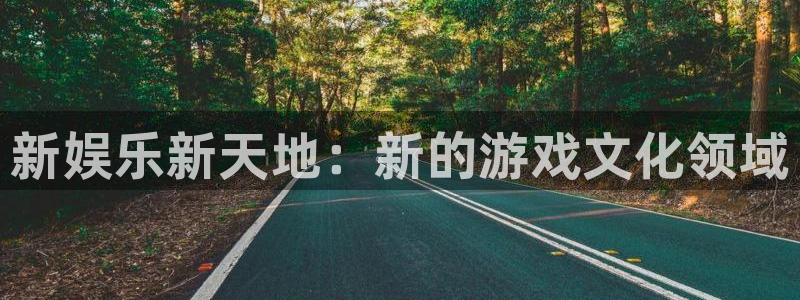 壹号娱乐体育免费注册入口：新娱乐新天地：新的游戏文化领域