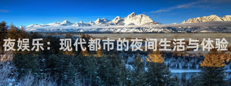 壹号娱乐体育论坛：夜娱乐：现代都市的夜间生活与体验