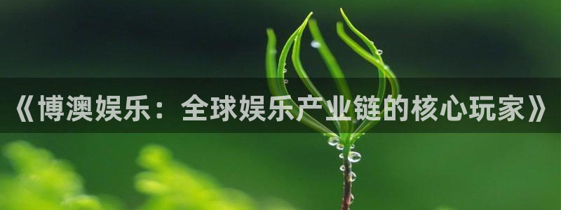 壹号娱乐体育老板是谁：《博澳娱乐：全球娱乐产业链的核心玩家》
