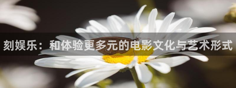 壹号娱乐4代理：刻娱乐：和体验更多元的电影文化与艺术形式