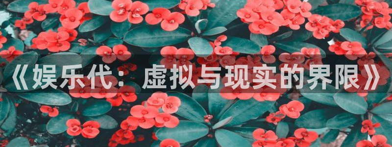 壹号娱乐招商：《娱乐代：虚拟与现实的界限》