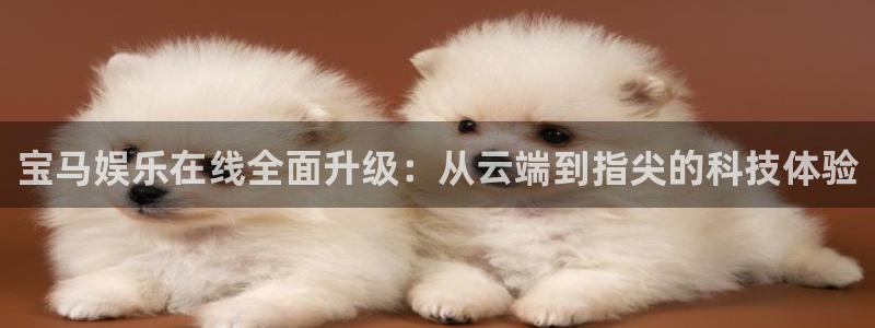 壹号娱乐4开户：宝马娱乐在线全面升级：从云端到指尖的科技体验