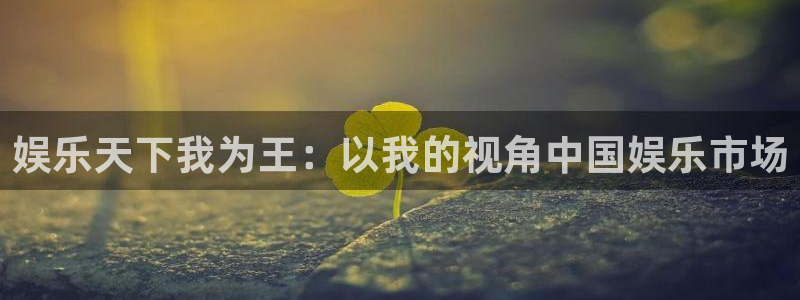 壹号娱乐体育app下载：娱乐天下我为王：以我的视角中国娱乐市场