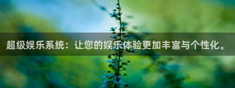 壹号娱乐2平台：超级娱乐系统：让您的娱乐体验更加丰富与个性化。