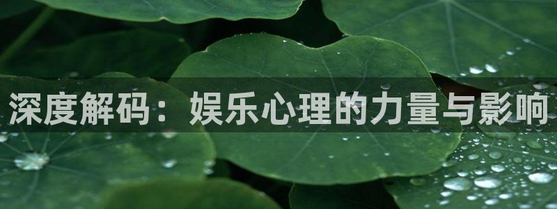壹号娱乐零能源集团：深度解码：娱乐心理的力量与影响
