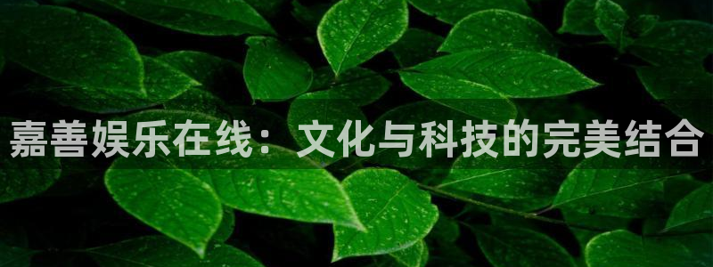 壹号娱乐平台招商：嘉善娱乐在线：文化与科技的完美结合