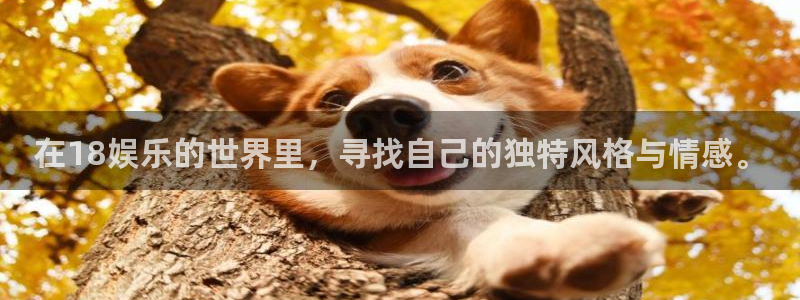 壹号娱乐体育官网入口登录：在18娱乐的世界里，寻找自己的独特风格与情感。