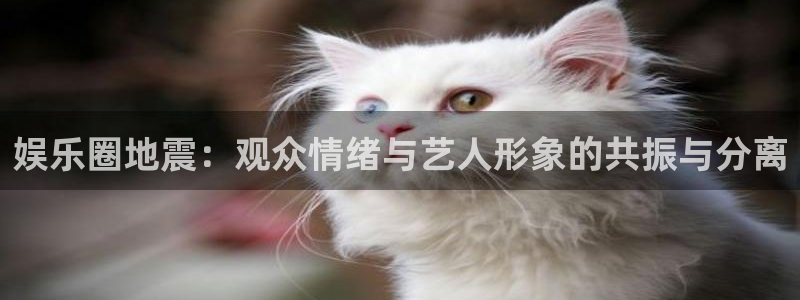 壹号娱乐登录：娱乐圈地震：观众情绪与艺人形象的共振与分离