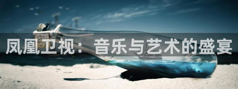 壹号娱乐平台注册：凤凰卫视：音乐与艺术的盛宴
