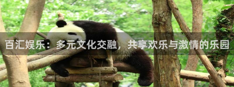 壹号娱乐：百汇娱乐：多元文化交融，共享欢乐与激情的乐园