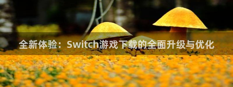 南宫娱乐官网入口注册账号密码是什么：全新体验：Switch游